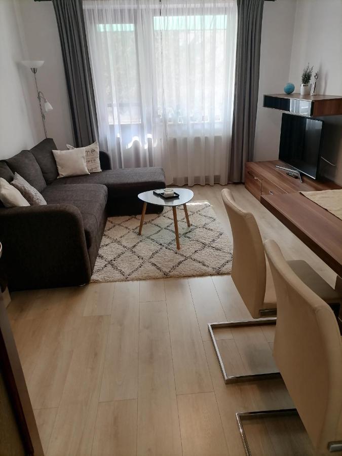 Joy Apartman Apartment Sovata Bagian luar foto